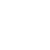 Icono-Due-Diligence